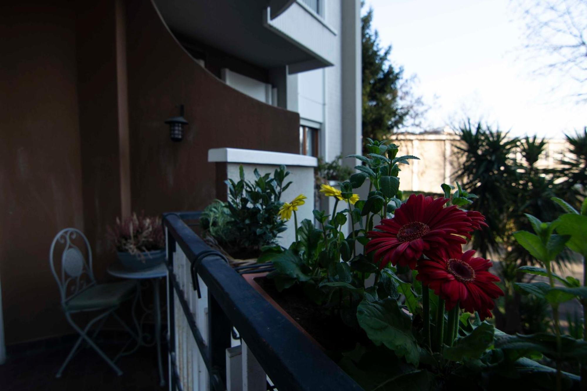 Apartment Oasi Di Serenita - Bilocale Silenzioso Con Affaccio Sulla Natura Mailand